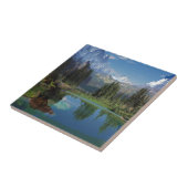 Schöne amerikanische Gesteinsgeschenke Fliese (Seite)