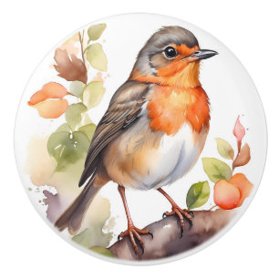 Schöne amerikanische Robin Bird-Farbe Keramikknauf