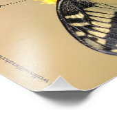 Schöne Anise Frack Butterfly in der Sonne Fotodruck (Ecke)