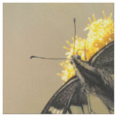 Schöne Anise Frack Butterfly in der Sonne Stoff (Nahaufnahme)