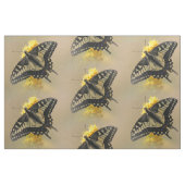 Schöne Anise Frack Butterfly in der Sonne Stoff (Fat Quarter (45,7 x 55,9 cm))