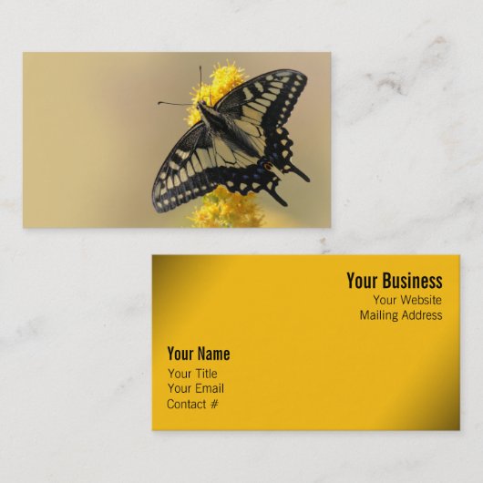 Schöne Anise Frack Butterfly in der Sonne Visitenkarte (Vorne/Hinten)