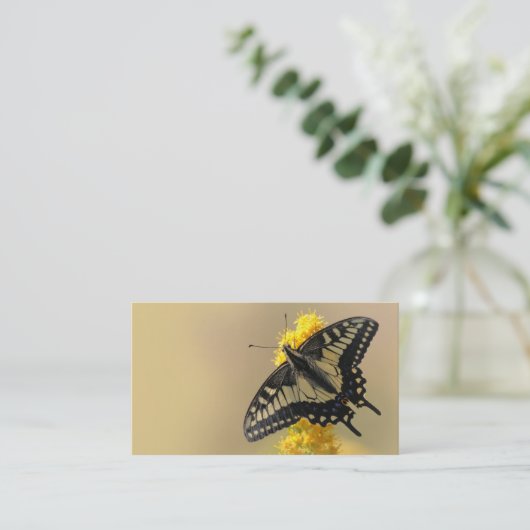 Schöne Anise Frack Butterfly in der Sonne Visitenkarte (Stehend Vorderseite)