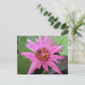 Schöne Ankündigung von Wasserlilie Postkarte (Stehend Vorderseite)