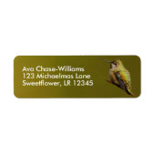 Schöne Anna's Hummingbird auf Trumpetreuszweig (Vorne)