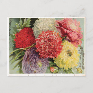 Schöne antike Blumen (1894) Postkarte