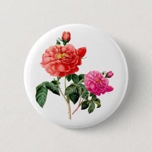 schöne antike rote und rosa Rosenblumen Button