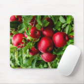 Schöne Äpfel Wartete zu picken! Mousepad (Mit Mouse)