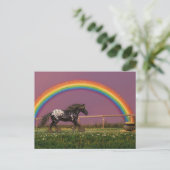 Schöne Appaloosa am Regenbogen Postkarte (Stehend Vorderseite)