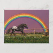 Schöne Appaloosa am Regenbogen Postkarte (Vorderseite)