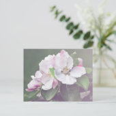 Schöne Apple Tree Blüten Frühjahr Postkarte (Stehend Vorderseite)
