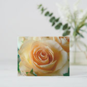 Schöne Apricot-Rose Postkarte (Stehend Vorderseite)