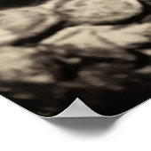 Schöne Apsaras Poster (Ecke)