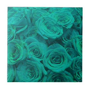 Schöne aquamarine grüne Rose aquamarine Blume Fliese