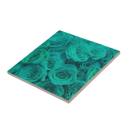 Schöne aquamarine grüne Rose aquamarine Blume Fliese (Seite)