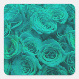 Schöne aquamarine grüne Rose aquamarine Blume Quadratischer Aufkleber