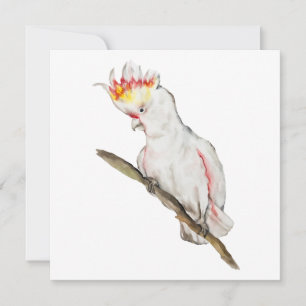Schöne Aquarellsittich-Papagei Hand zeichnend