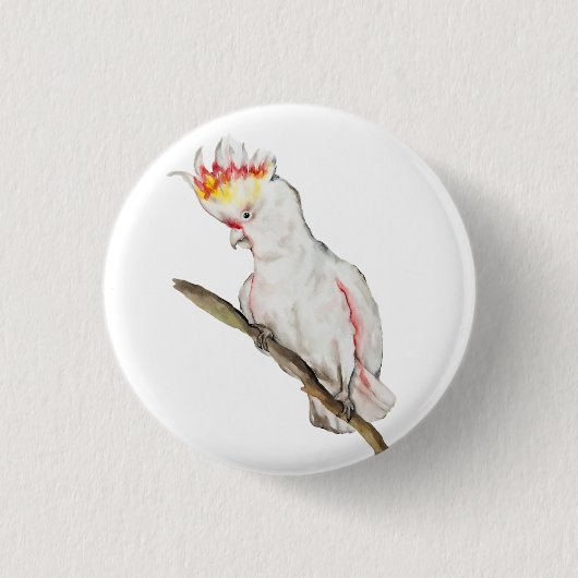 Schöne Aquarellsittich-Papagei Hand zeichnend Button (Vorderseite)