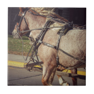 Schöne Arbeitspferde Fliese