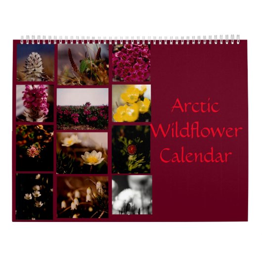 Schöne arktische Wildblumen - Farbwand Kalender (Rückseite)