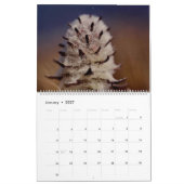 Schöne arktische Wildblumen - Farbwand Kalender (Jan 2027)