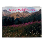 Schöne arktische Wildblumen - Farbwand Kalender (Titelbild)