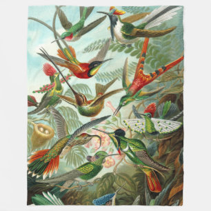 Schöne Art Hummingbirds von Ernst Haeckel Fleecedecke