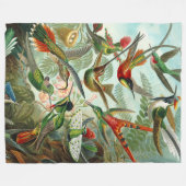 Schöne Art Hummingbirds von Ernst Haeckel Fleecedecke (Vorderseite (Horizontal))