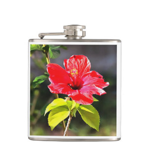 Schöne Artistic Red Tropical Hibiskus Blume Flachmann