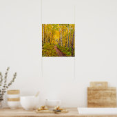 Schöne Aspen Bäume im Herbst Splendor Poster (Küche)