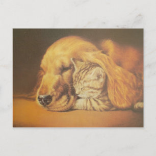 Schöne atemberaubende Katze und Hund kuschelnd Kun Postkarte