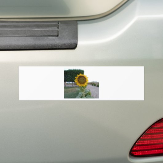 Schöne Atemberaubende Sonnenblume Autoaufkleber (Auf Auto)