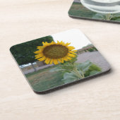 Schöne Atemberaubende Sonnenblume Untersetzer (Linke Seite)