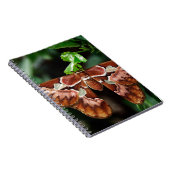 Schöne Atlas Moth Notizblock (Rechte Seite)