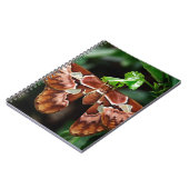 Schöne Atlas Moth Notizblock (Linke Seite)