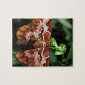 Schöne Atlas Moth Puzzle (Horizontal)