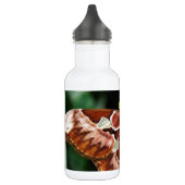 Schöne Atlas Moth Trinkflasche (Links)