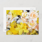 Schöne, auf Wasser schwimmende Foto-Federnodien Postkarte (Vorne/Hinten)