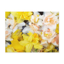 Schöne, auf Wasser schwimmende Foto-Federnodien