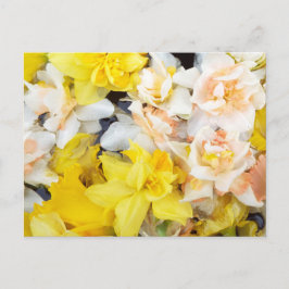 Schöne, auf Wasser schwimmende Foto-Federnodien Postkarte