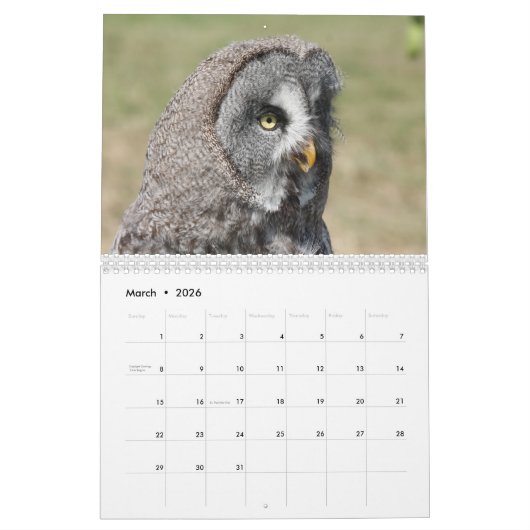 Schöne Augenbilder und Bilder 2025 Kalender (Mär 2026)