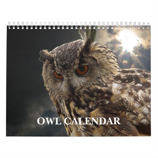 Schöne Augenbilder und Bilder 2025 Kalender (Titelbild)