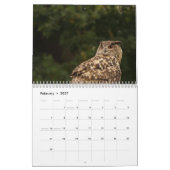 Schöne Augenbilder und Bilder 2025 Kalender (Feb 2027)
