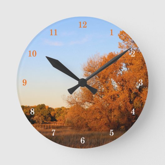 Schöne Außenansicht Wall Clock Runde Wanduhr (Vorderseite)