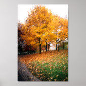 Schöne Aussicht auf den Herbst Poster (Vorne)