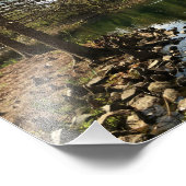 Schöne Aussicht auf den See Fotodruck (Ecke)