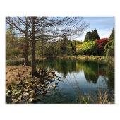 Schöne Aussicht auf den See Fotodruck (Vorne)
