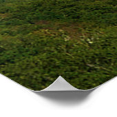 Schöne Aussicht Poster (Ecke)