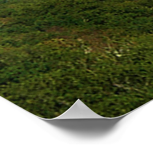 Schöne Aussicht Poster (Ecke)