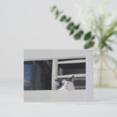 Schöne Aussicht Postkarte (Stehend Vorderseite)